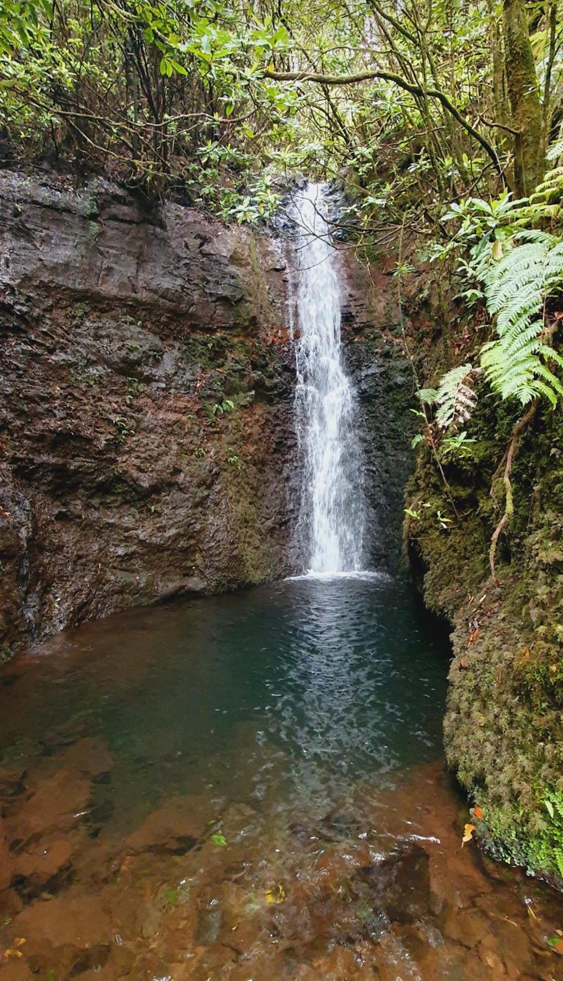 Achadas Nature Suite Achadas da Cruz Luaran gambar